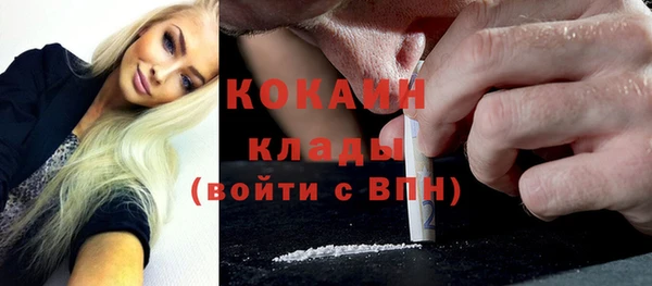 spice Алексин