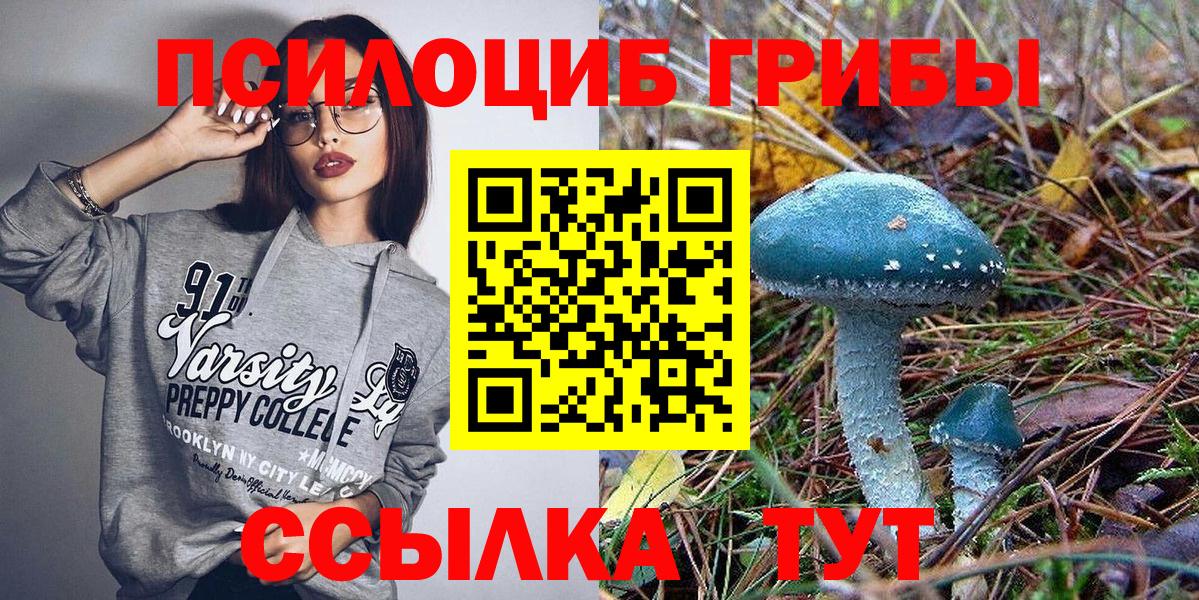 Лянтор  Галлюциногенные грибы Cubensis  Вход с VPN 